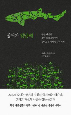    ( ) - Ǫ ༺  Ʒ  ̷ο  ߰ 